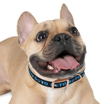 Sato Dog Collar (Black)