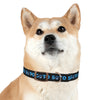 Sato Dog Collar (Black)