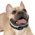 Sato Dog Collar (Black)